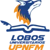 洛沃斯墨